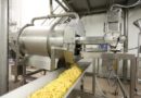 Chips en cours de salage dans une usine