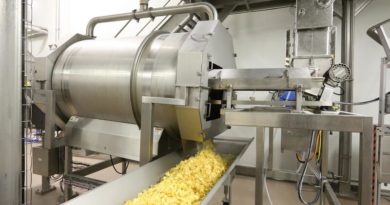 Chips en cours de salage dans une usine