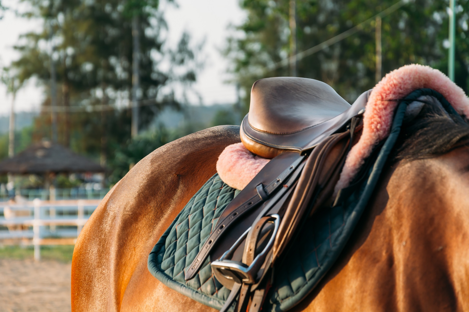 il y a une valeur sentimentale avec la selle de chaque cavalier