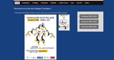 attelages pyreneens