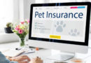 un ordinateur de bureau affichant le site web d'une assurance pour animaux de compagnie (Pet Insurance)