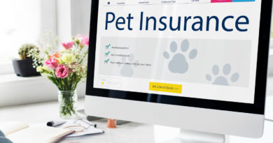 un ordinateur de bureau affichant le site web d'une assurance pour animaux de compagnie (Pet Insurance)