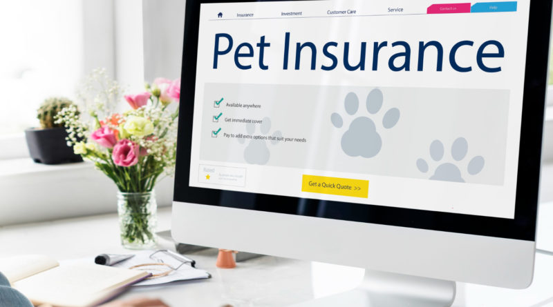 un ordinateur de bureau affichant le site web d'une assurance pour animaux de compagnie (Pet Insurance)